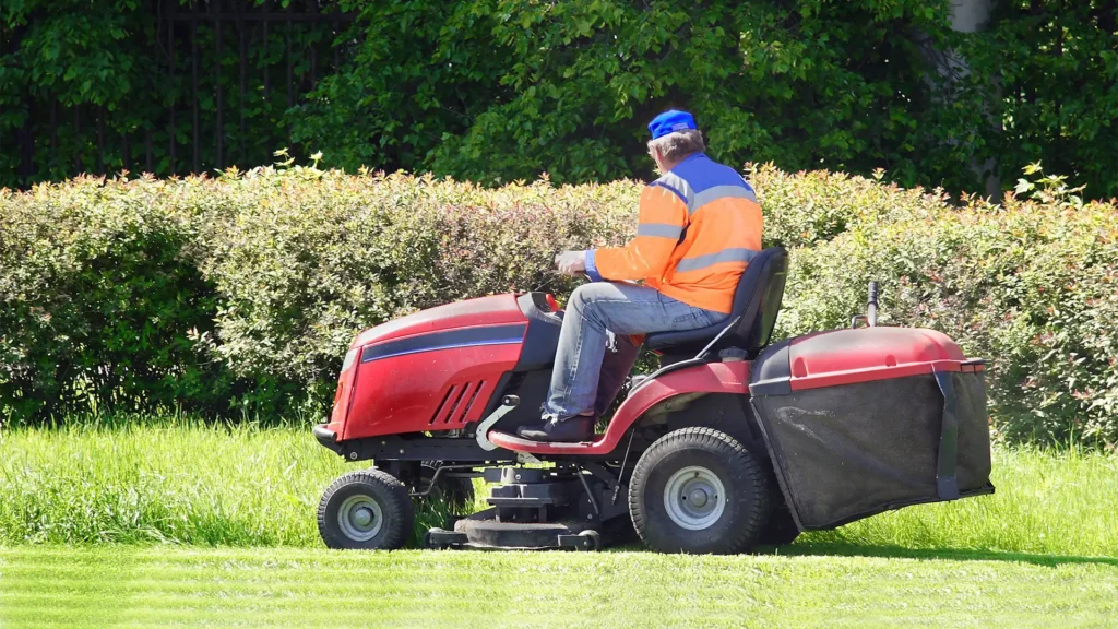 Gardener trimming bushes.